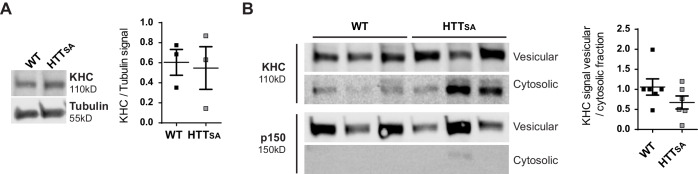 Figure 3—figure supplement 1.