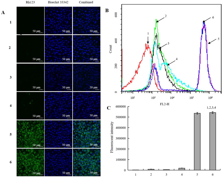 Figure 6