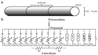 Fig 8