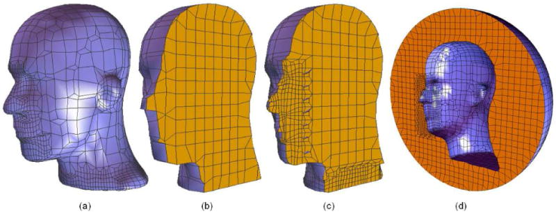 Fig. 18