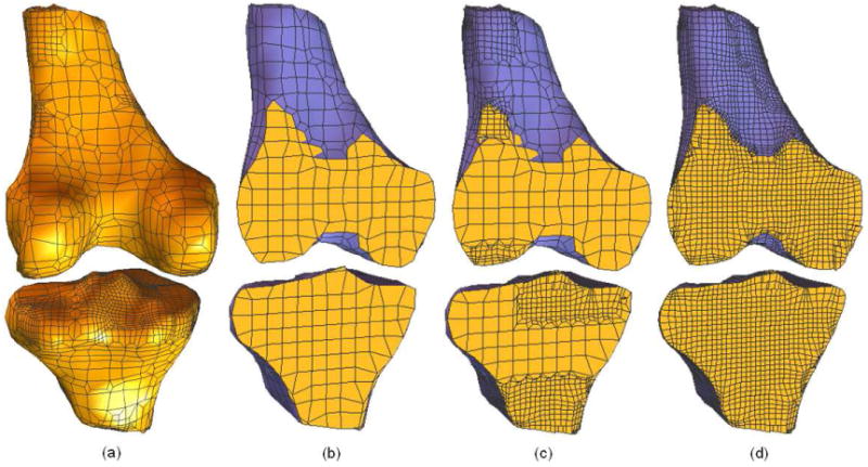 Fig. 19