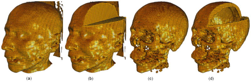 Fig. 20