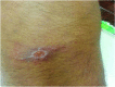 <b>FIG. 7.</b>