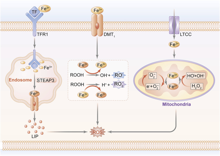 FIGURE 1