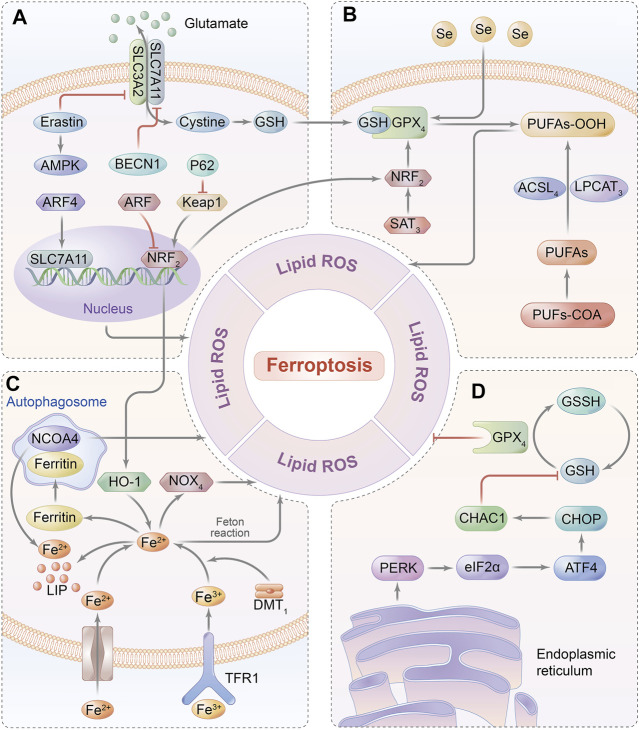 FIGURE 3