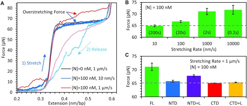 Figure 7.