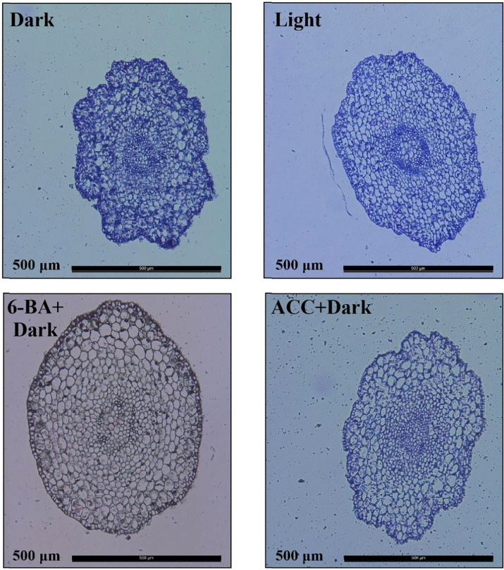 Figure 2