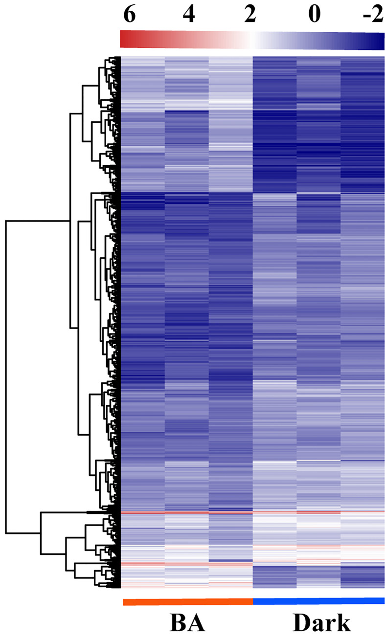 Figure 4