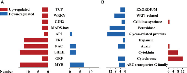 Figure 5