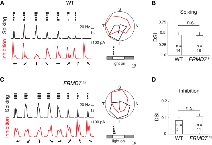 Figure 5