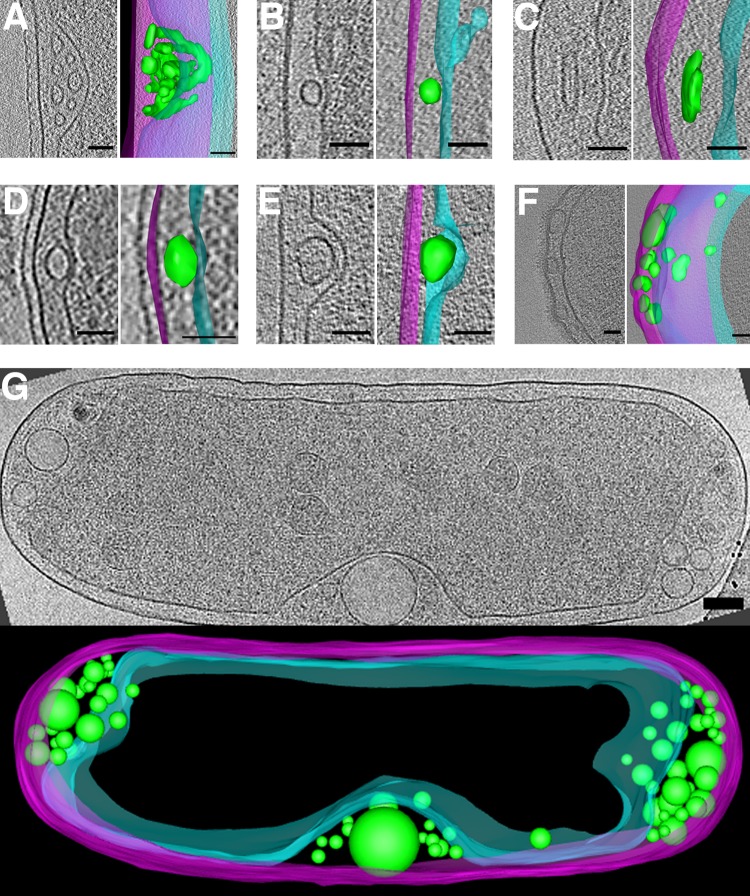 FIG 10