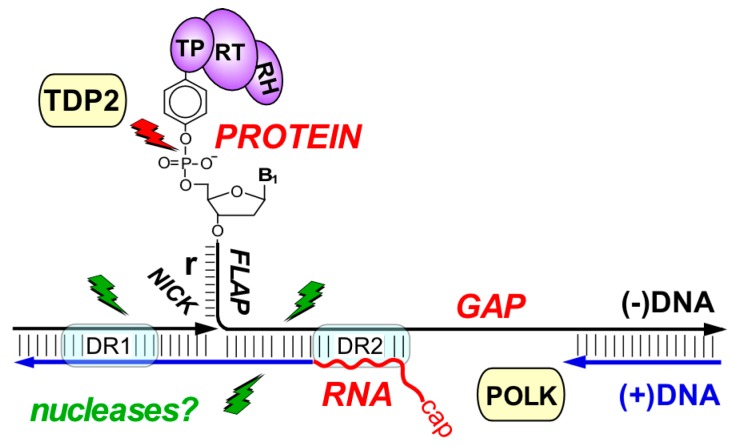 Figure 9