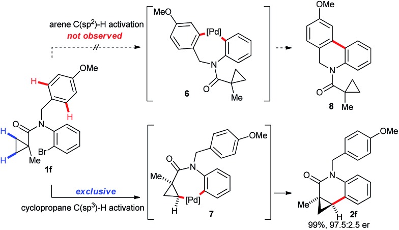 Scheme 4