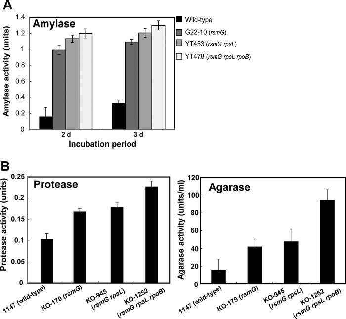 FIG 6