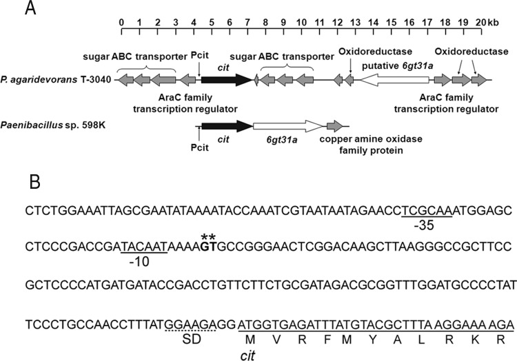 FIG 4