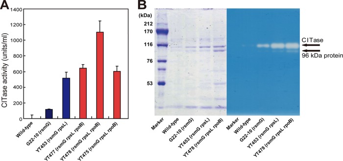 FIG 2