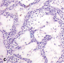 [Table/Fig-8c]: