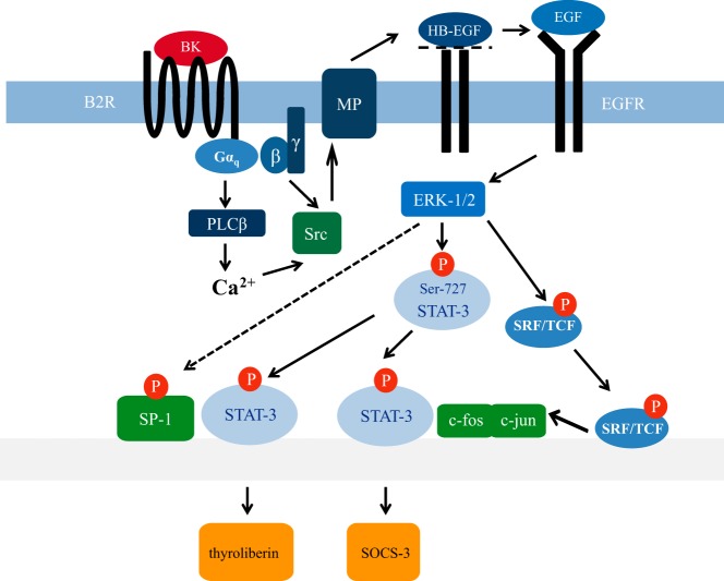 Figure 10.