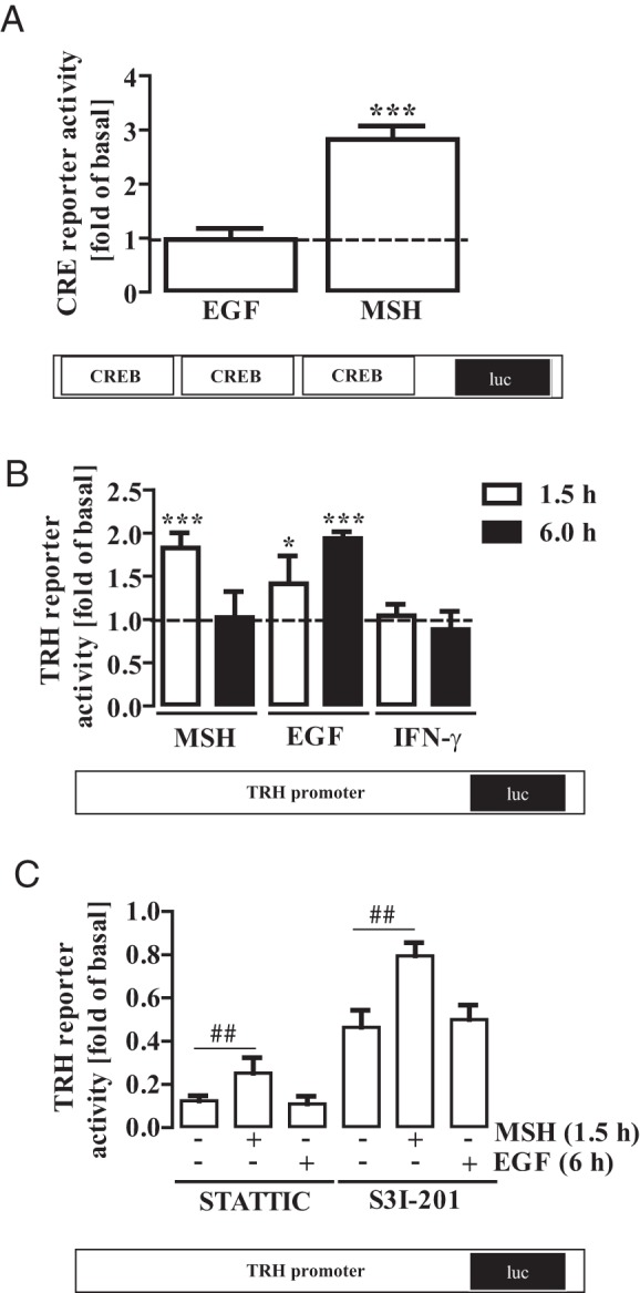 Figure 9.