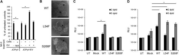 FIG 4