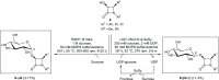 Scheme 4