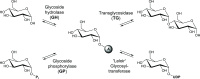Scheme 3