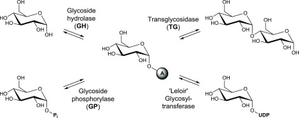 Scheme 3