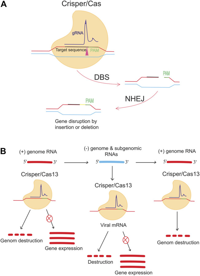 FIGURE 3