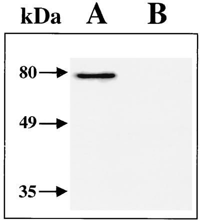 FIG. 9