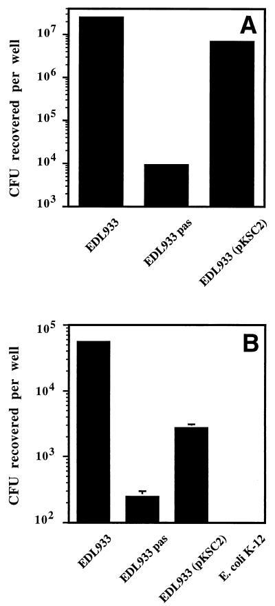 FIG. 6