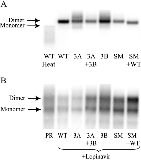 FIG. 5.