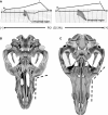 Fig. 9