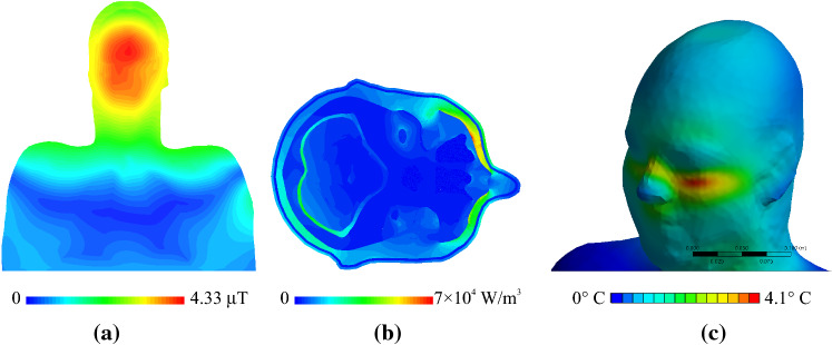 Fig. 5