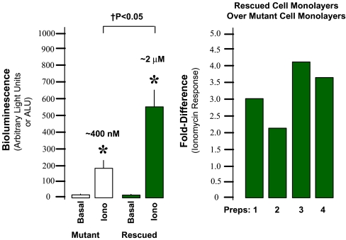 Fig. 2