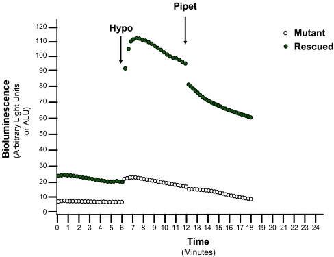 Fig. 7