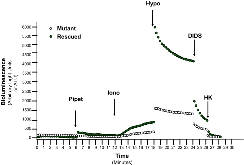 Fig. 8