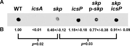 FIG. 2.