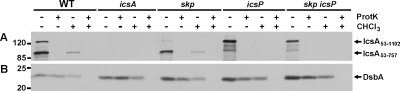 FIG. 7.