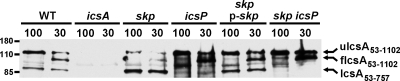 FIG. 8.