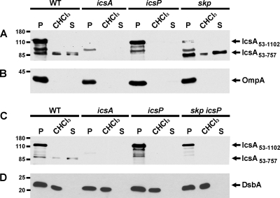 FIG. 6.