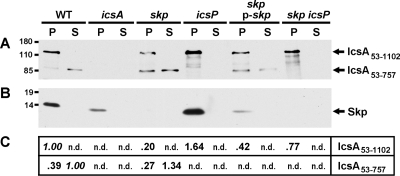 FIG. 5.