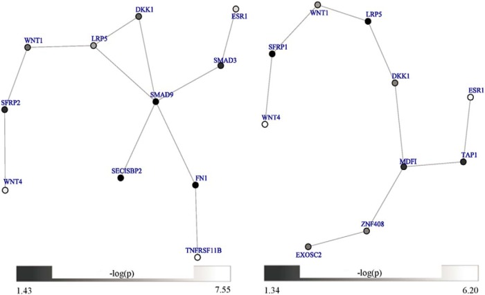 Figure 2.