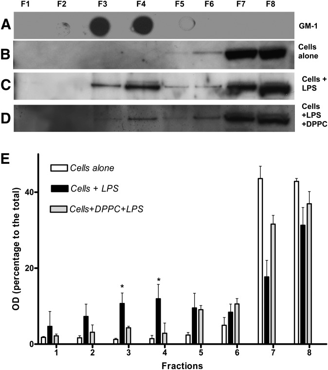 Fig. 5.