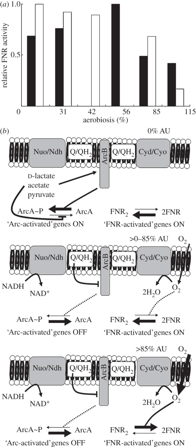 Figure 2.