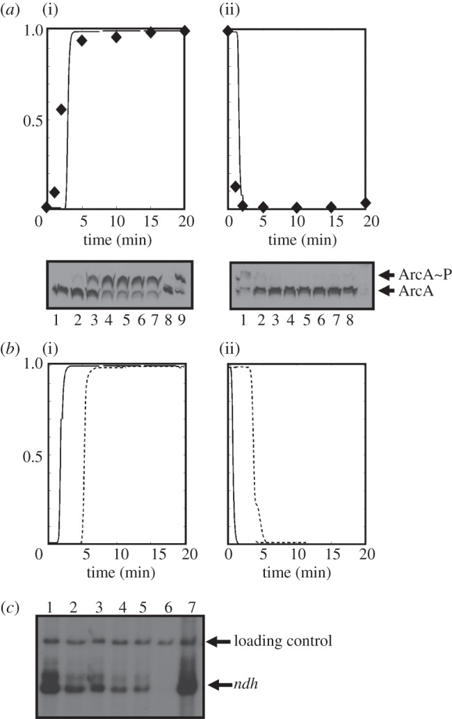 Figure 5.