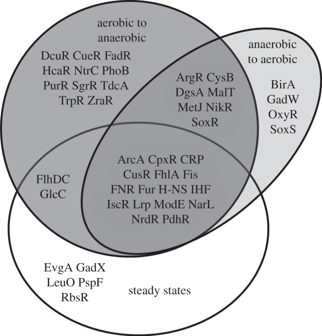 Figure 3.