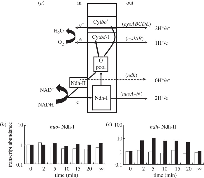 Figure 4.