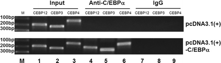 Fig. 6