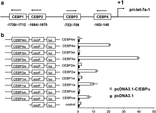 Fig. 4