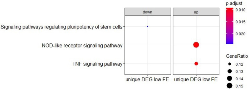 Fig. 6